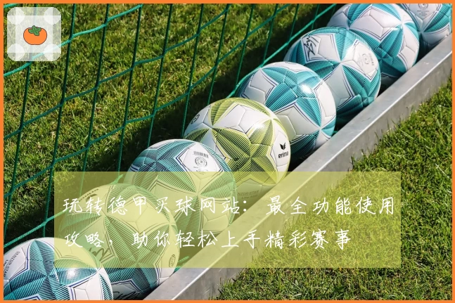 玩转德甲买球网站：最全功能使用攻略，助你轻松上手精彩赛事