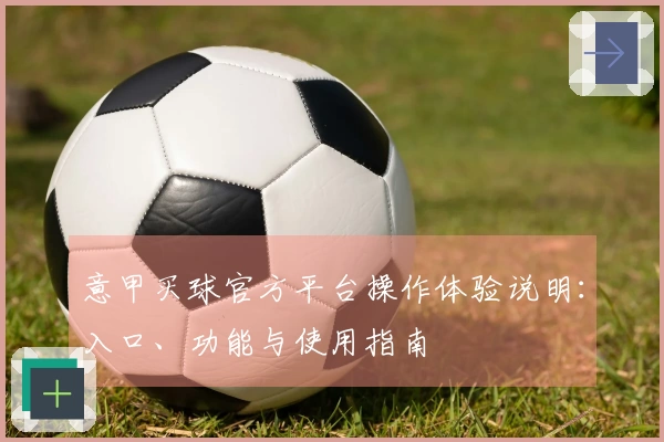 意甲买球官方平台操作体验说明：入口、功能与使用指南