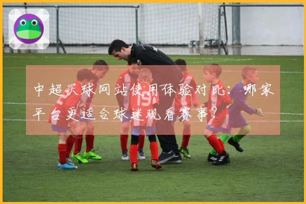 中超买球网站使用体验对比：哪家平台更适合球迷观看赛事？