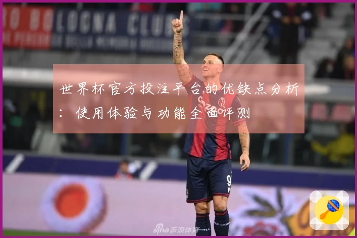 世界杯官方投注平台的优缺点分析：使用体验与功能全面评测