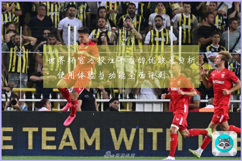 世界杯官方投注平台的优缺点分析:使用体验与功能全面评测